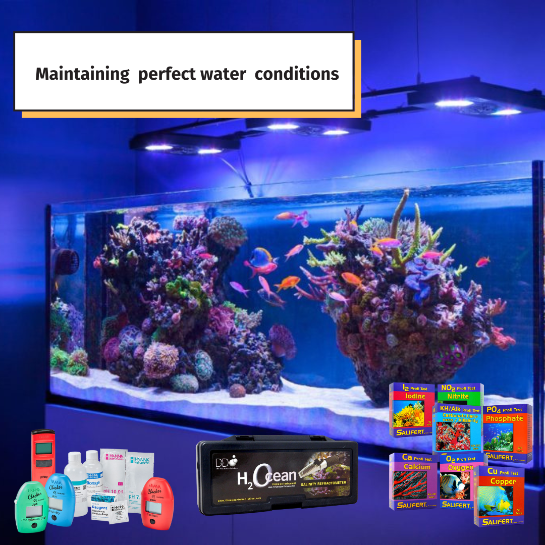 Illustration of Maintaining Stable Water Conditions For Saltwater Tanks