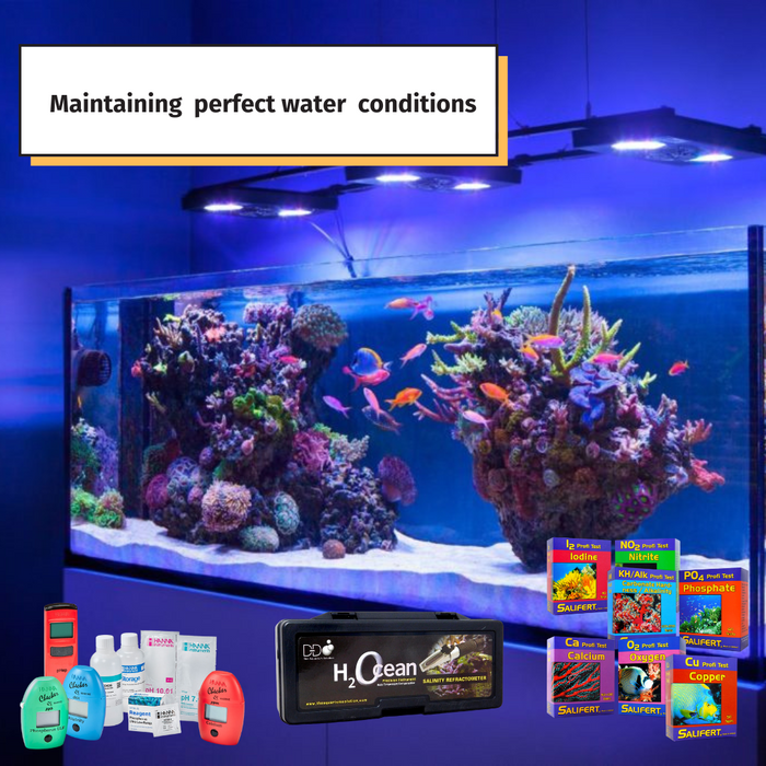 Maintaining Perfect Water Conditions in Your Saltwater Aquarium