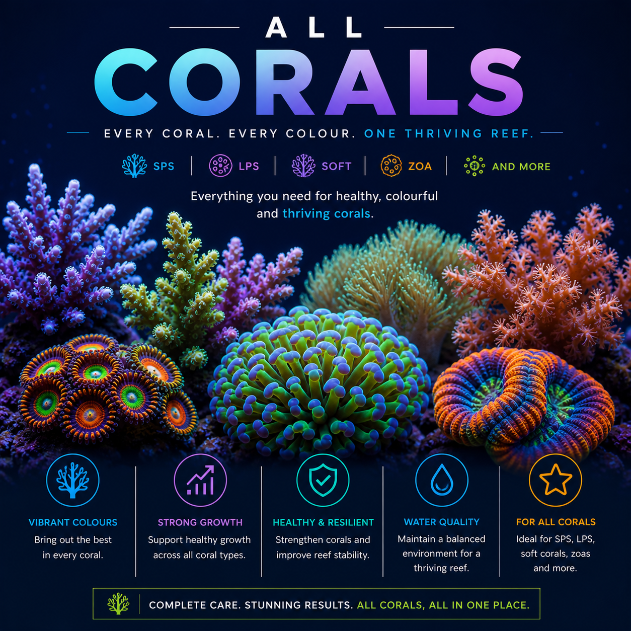 Lps, Sps, Zoas, Softies all available at The Coral Shop.