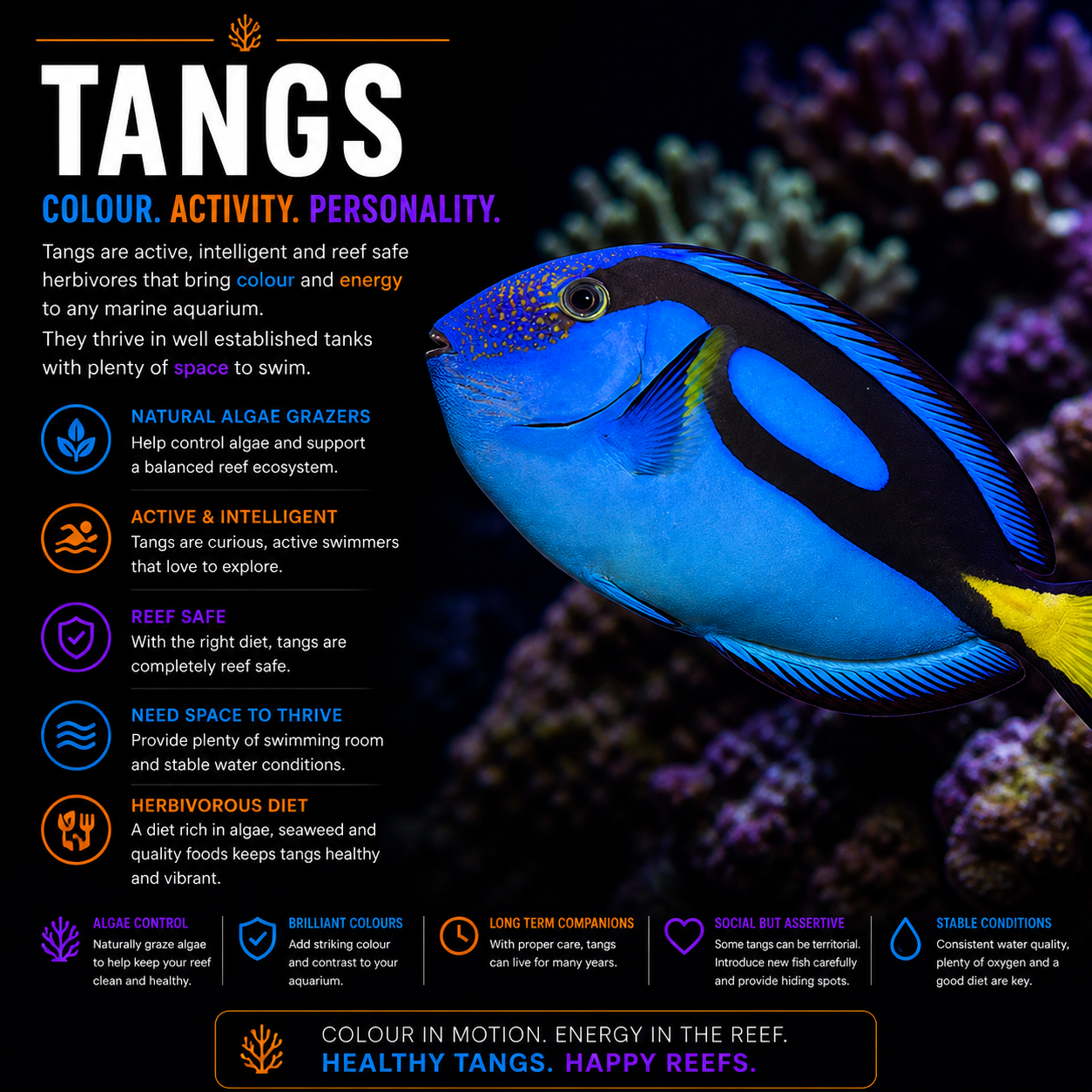 Tangs