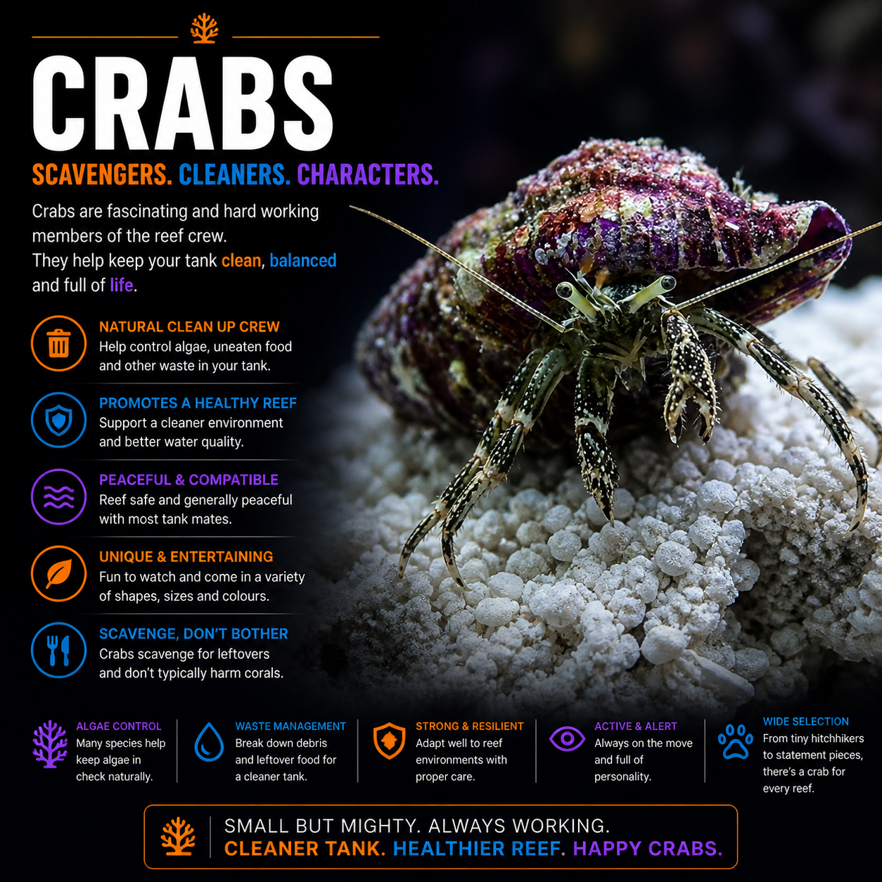 Crabs