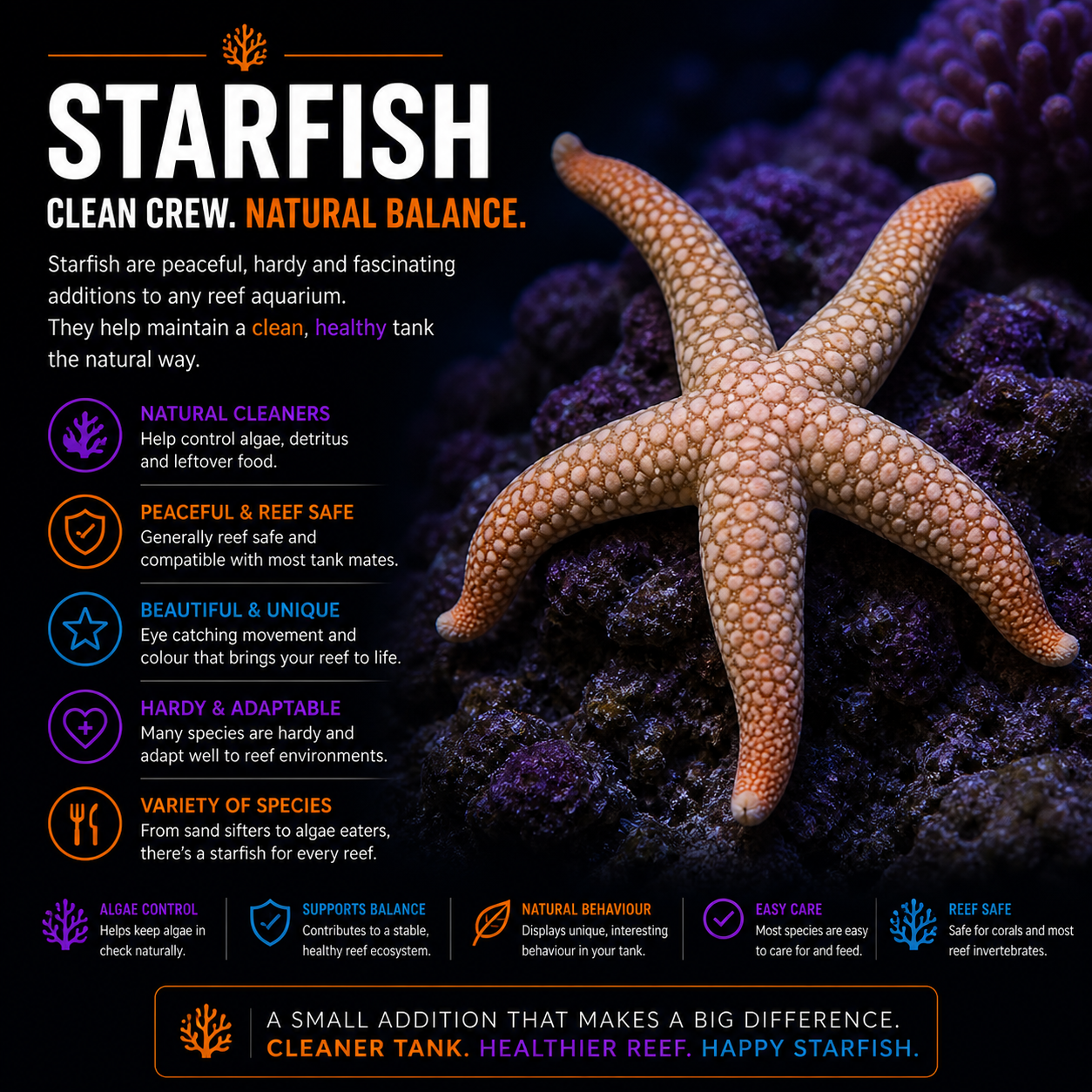 Starfish