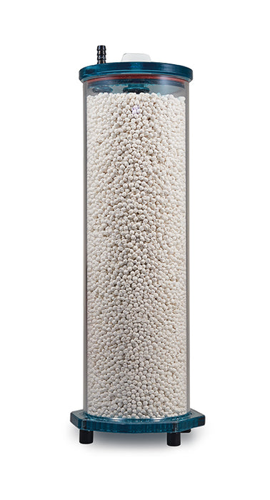 Fauna Marin Skim Breeze Reaktor