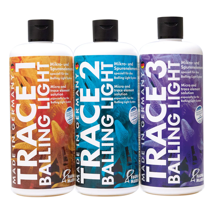 Fauna Marin Trace