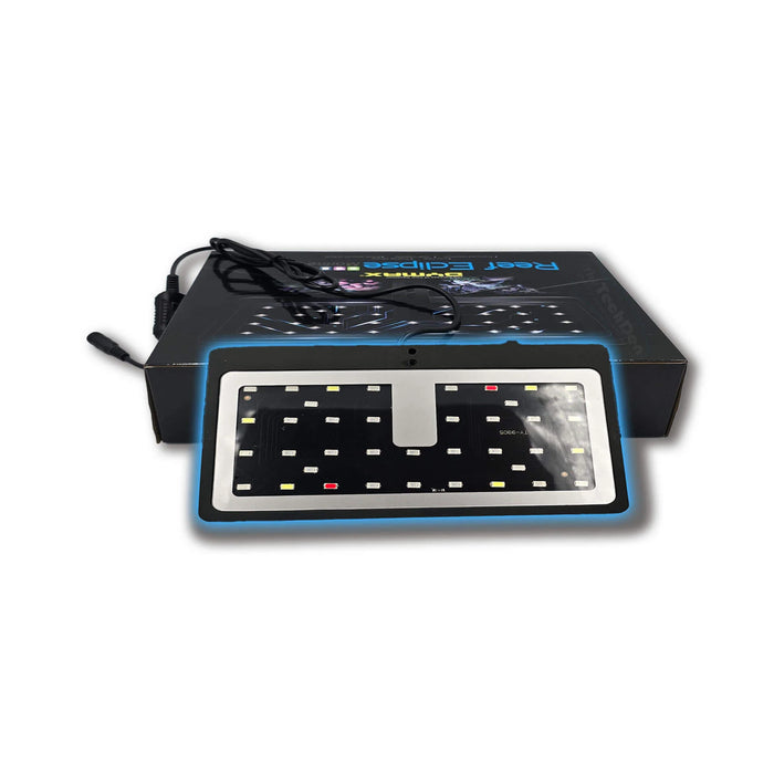 Dymax Reef Eclipse