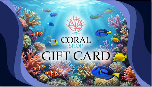 Gift card with an underwater scene featuring corals and fish, branded as 'The Coral Shop'.