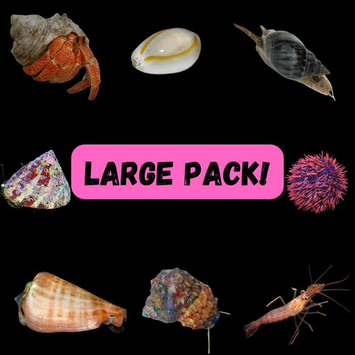 Large Clean Up Crew Pack