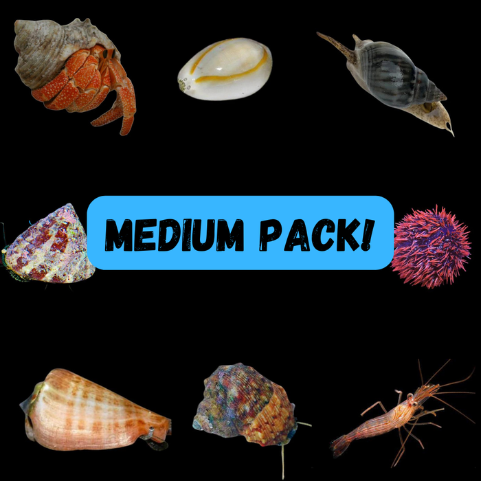 Medium Clean Up Crew Pack