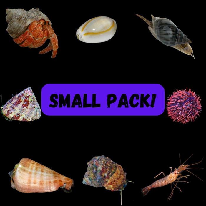 Small Clean Up Crew Pack