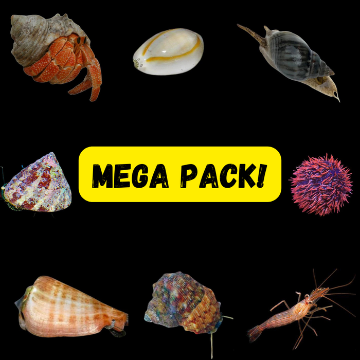 Mega Clean Up Crew Pack