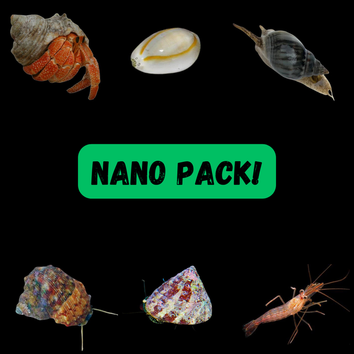 Nano Clean Up Crew Pack