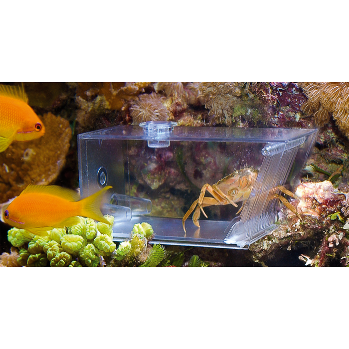 Aquamedic Trap-Pest