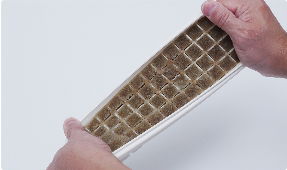 Maxspect  Frozen Food Mold